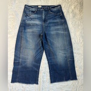 Anthropologie Pilcro Jeans Barrel Baggy Relaxed High Rise Cropped 33 T